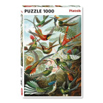 Puzzle Colibris 1000 pièces